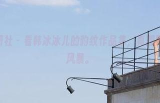 MiStar魅妍社 - 看韩冰冰儿的豹纹作品集,真想跟上一波野性风暴。