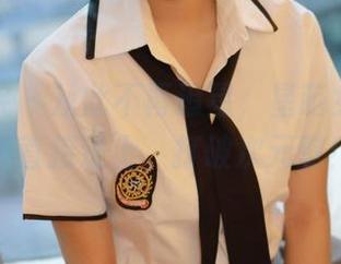 模范学院 – 从此不再追星，星萌女神资源集直接送上，打破次元壁！