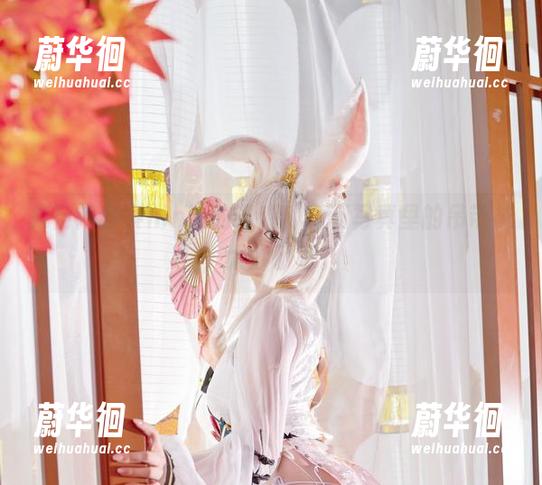 来自阿寨寨ninja的诱惑，福利写真里的吊带袜，太妙了吧。